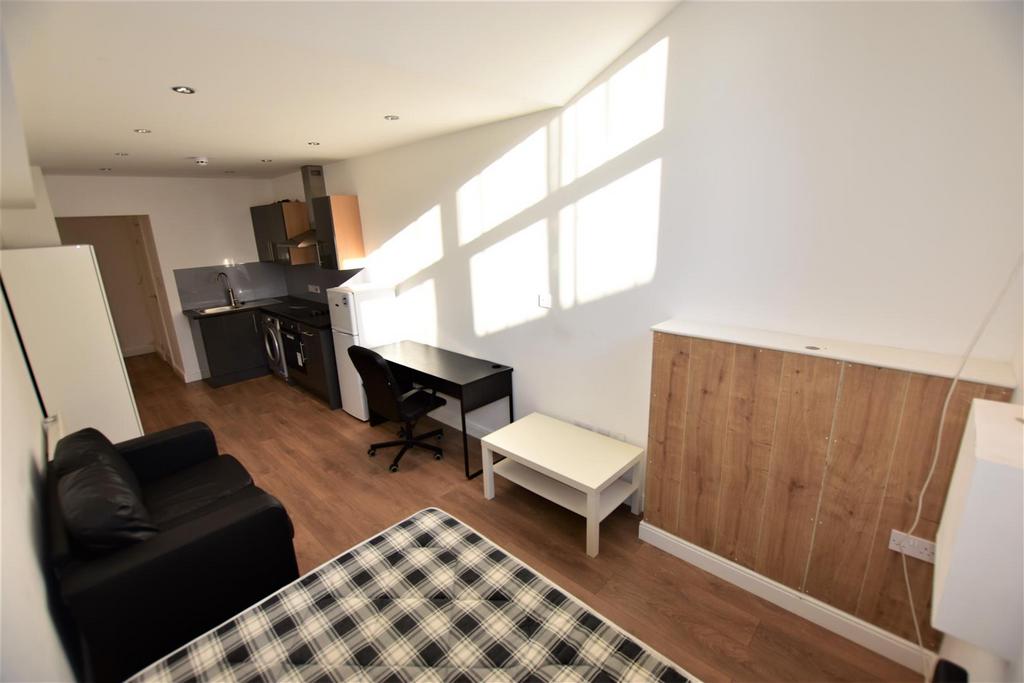 Bedroom/Lounge