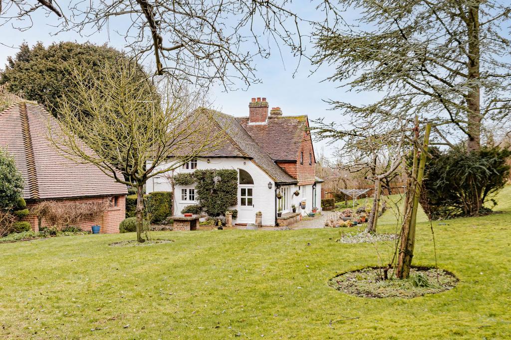 Rear Garden (10)