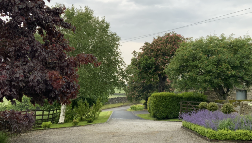 Driveway