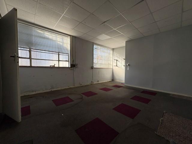 Whats App Image 2026-02-12 At 14.38.09 5 ...