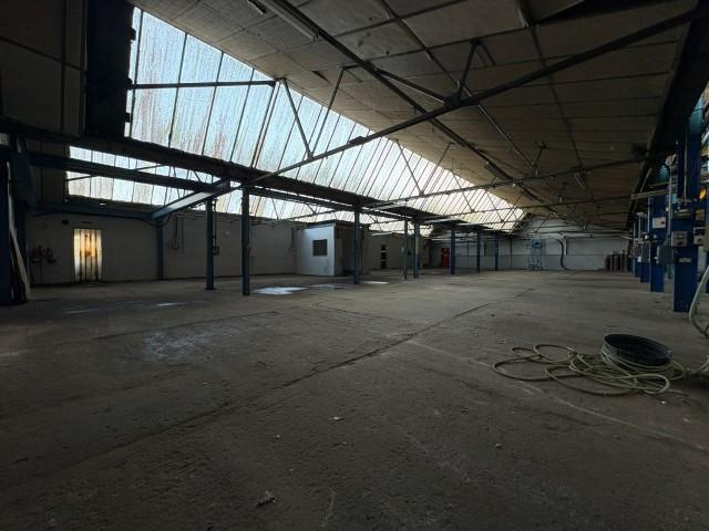 Whats App Image 2026-02-12 At 14.38.10 7 -...