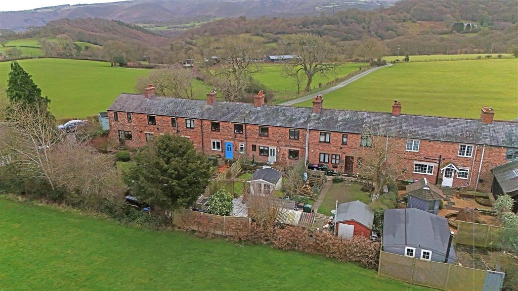 Dji 20260217114113 0089 d.jpg
