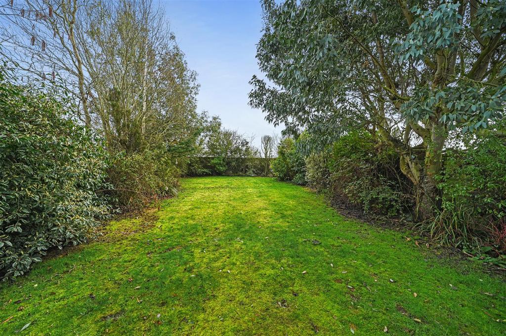 Rear garden