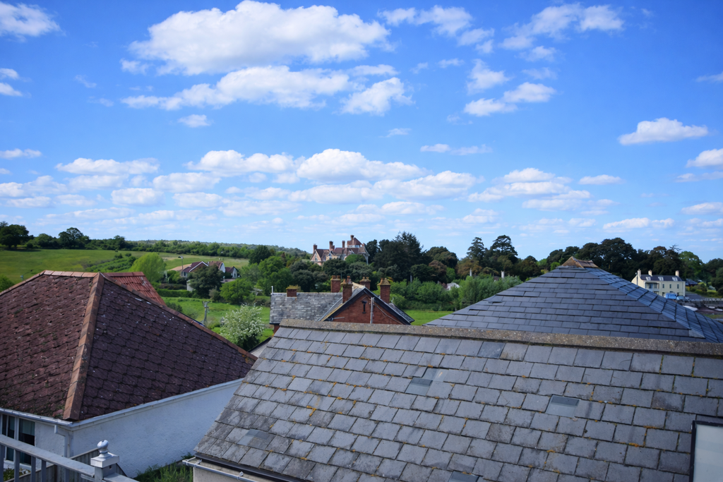 Views From Garden
