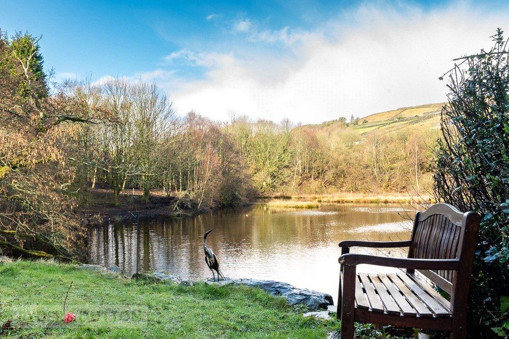 Mill Pond View