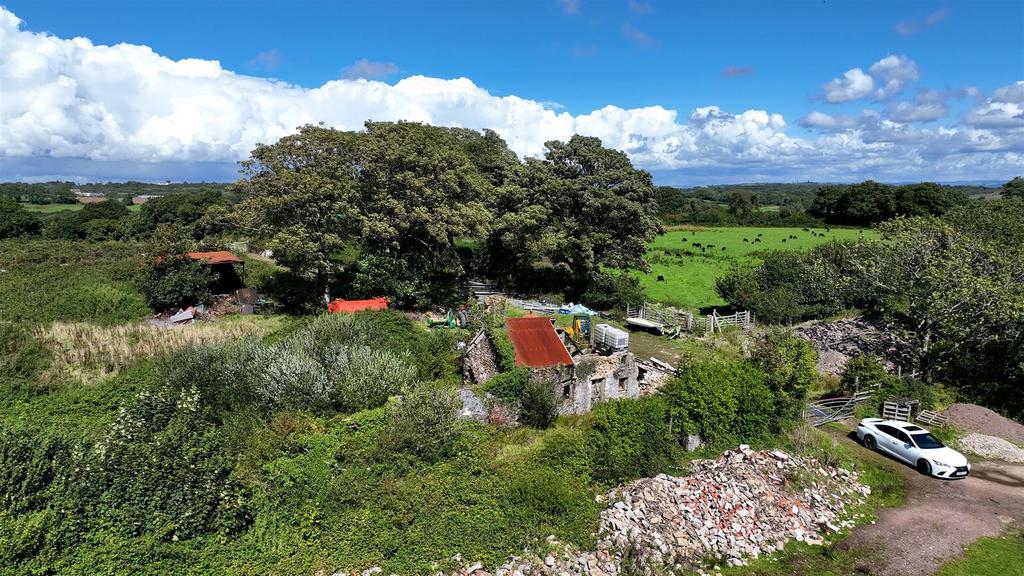 Looking north at the plot.jpg