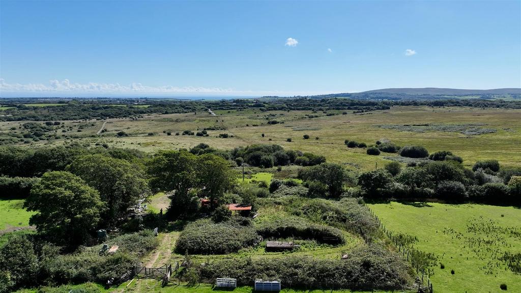 Plot looking south.jpg