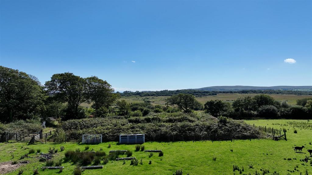 Garden and back of plot.jpg