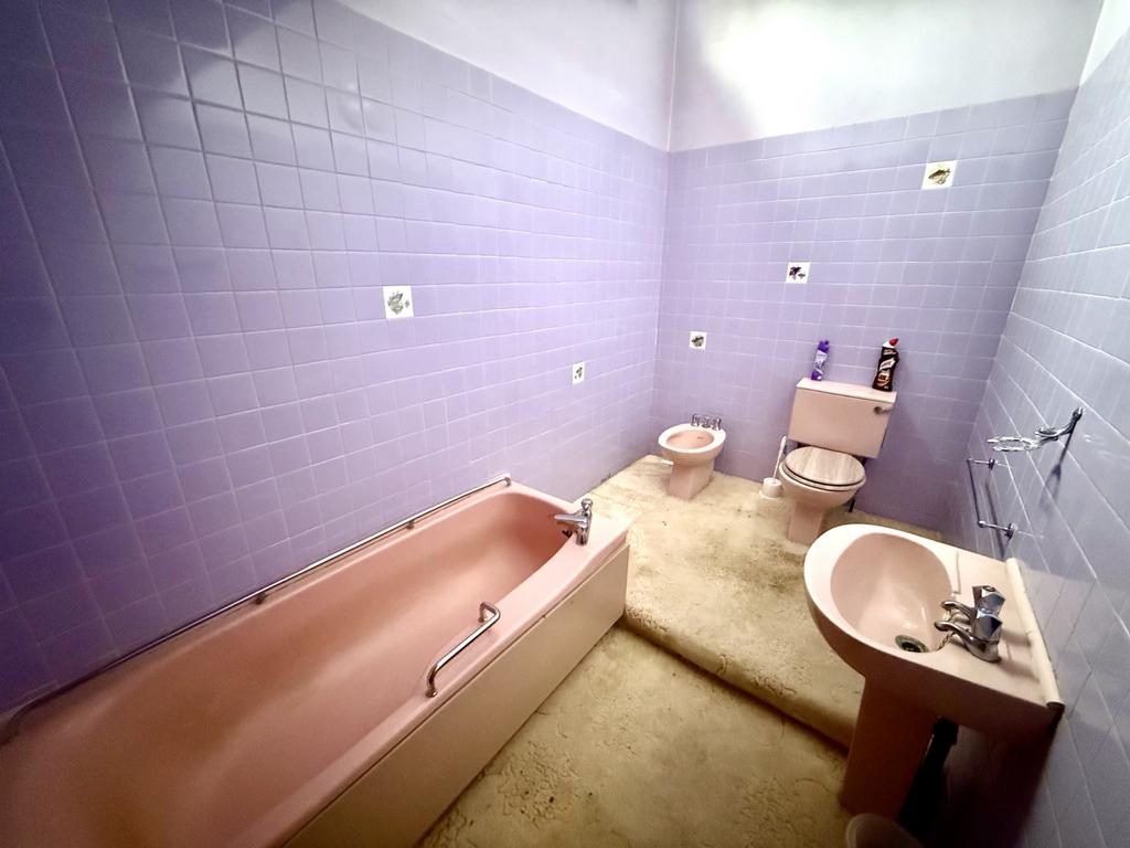 Img 2038