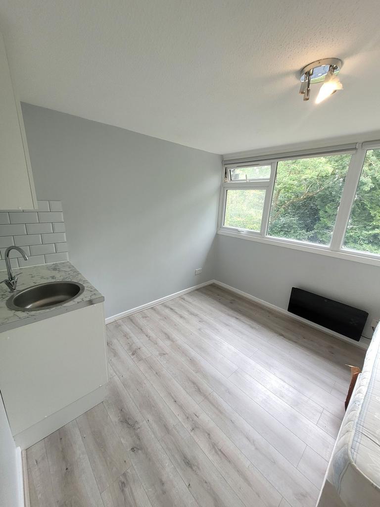 Bright, freshly renovated single room with larg...