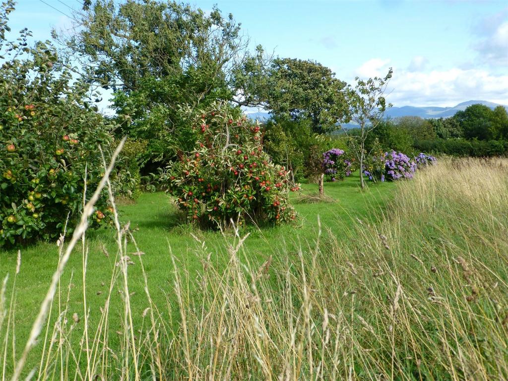 Orchard