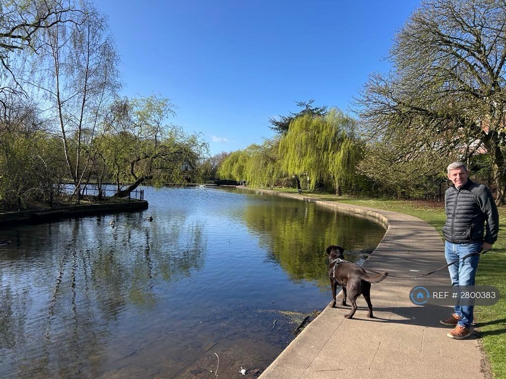 Rowntree Park