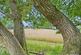 Additional image 3 of Plot 49, Stones Wharf, Weston Rhyn, Oswestry