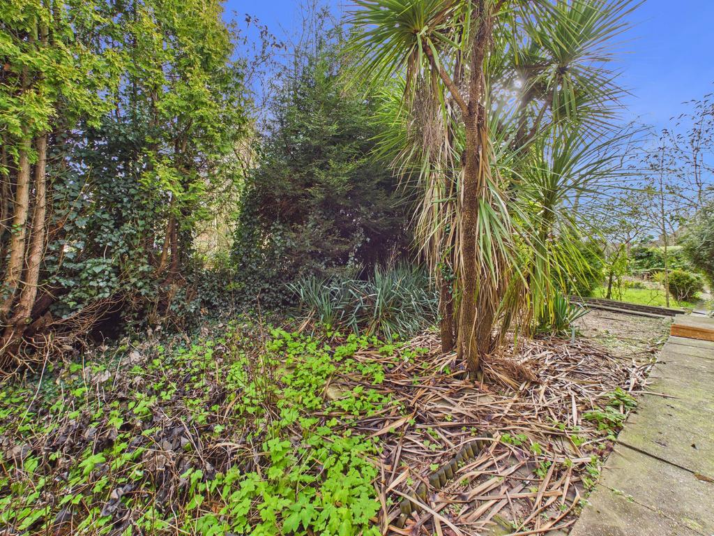 Front Garden