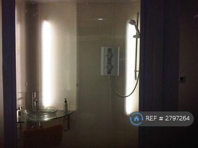 Generous Space For a Small Shower Party