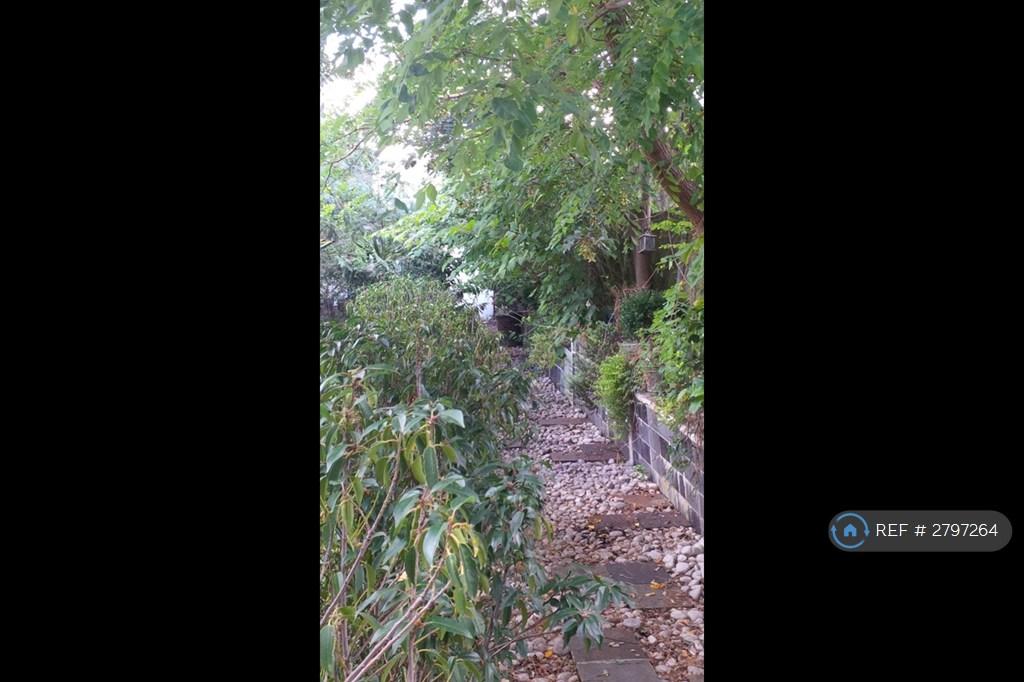 Beautiful Mature Maintained Garden