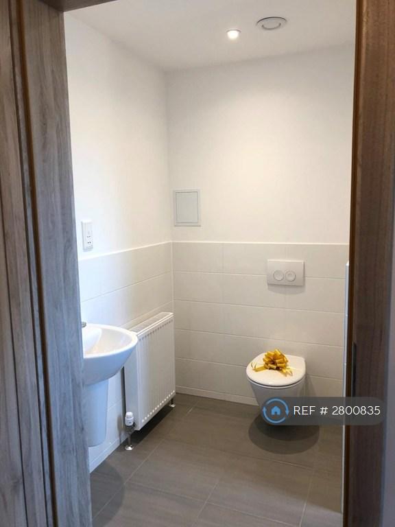 Downstairs Bathroom And Store Room