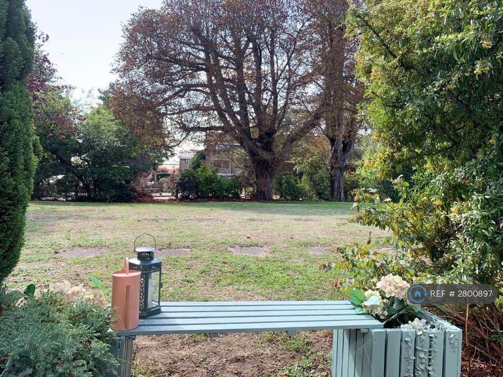 Communal Garden (From Patio)