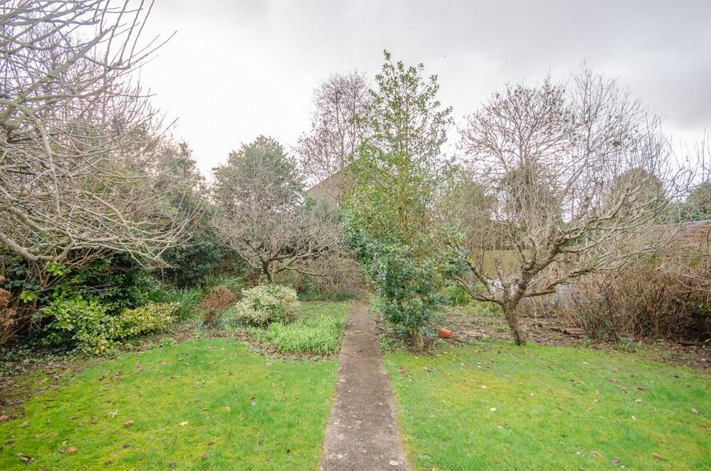 Rear garden.jpg