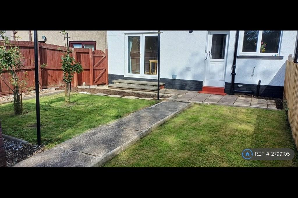 Back Garden