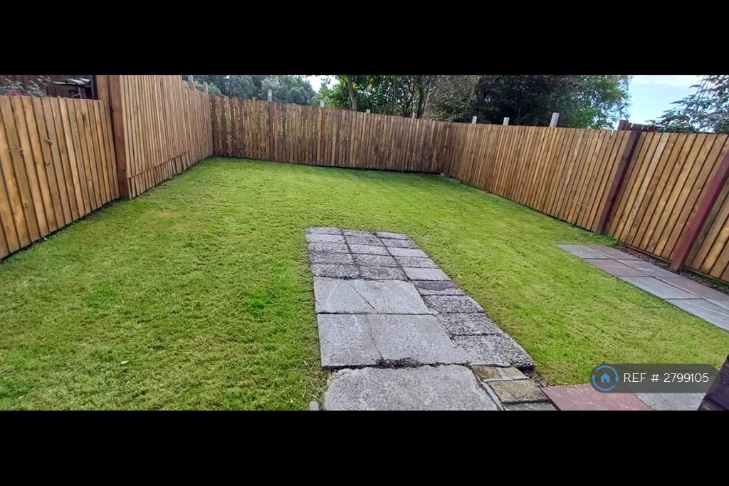 Back Garden