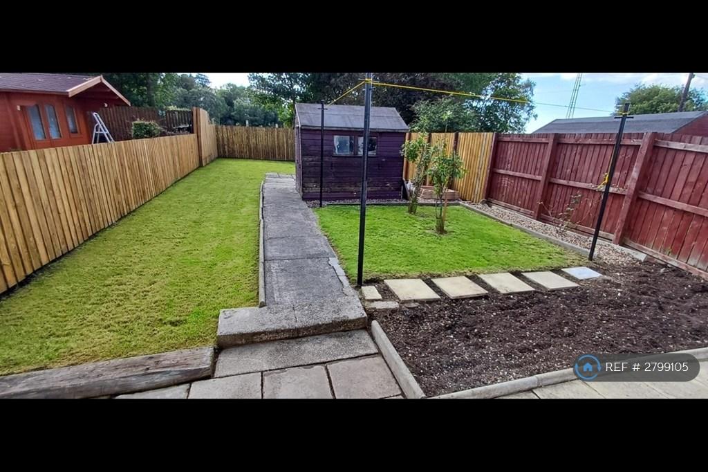 Back Garden