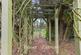 Additional image 24 of Oakley Road, Wix, Manningtree, Essex, CO11