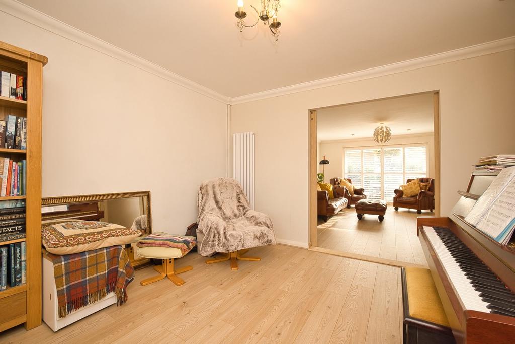 Picture 13