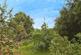 Additional image 32 of Mountain Road, Bedwas, Caerphilly
