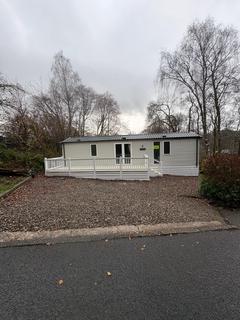 undefined, A85 20 Shilling Wood Comrie