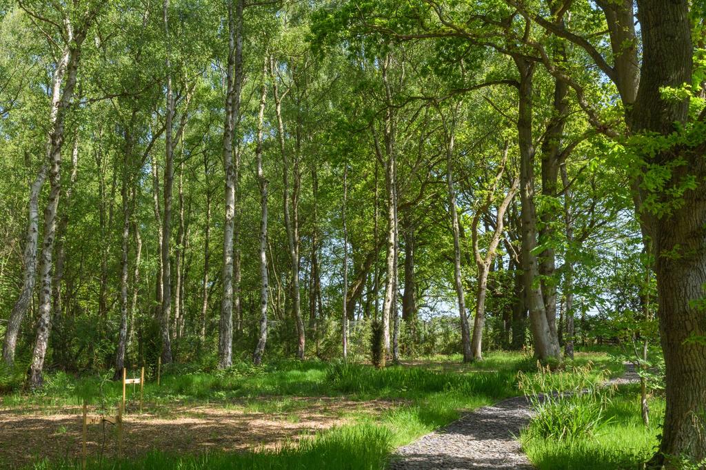 Private woodland