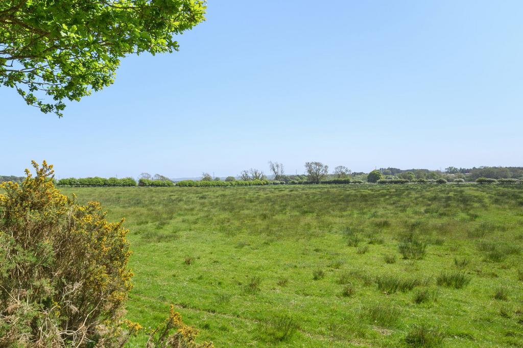 View to the South