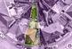 Additional image 13 of Roydene Crescent, Leicester, LE4 0GN