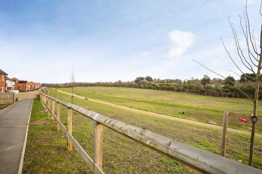 Surrounding Area