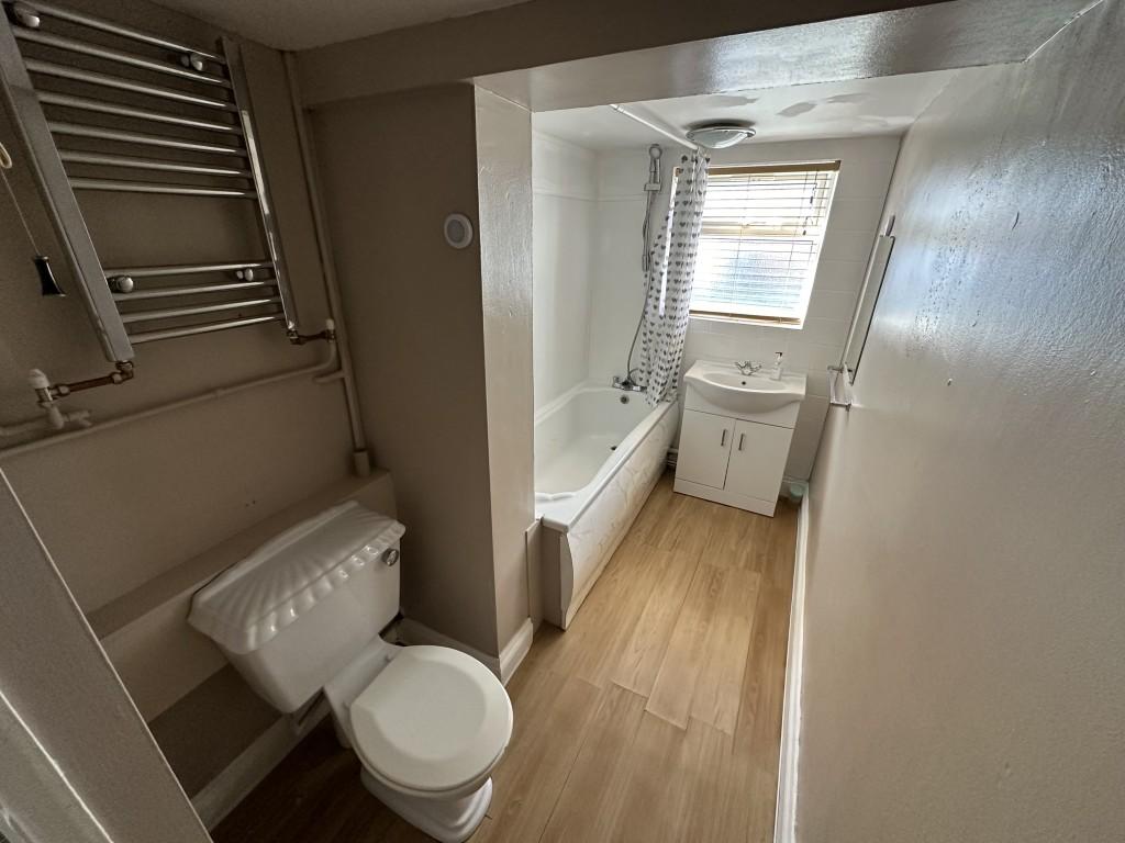 3  Medium  T202602201117.jpg