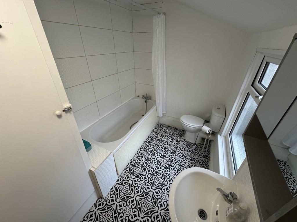 4  Medium  T202602201148.jpg