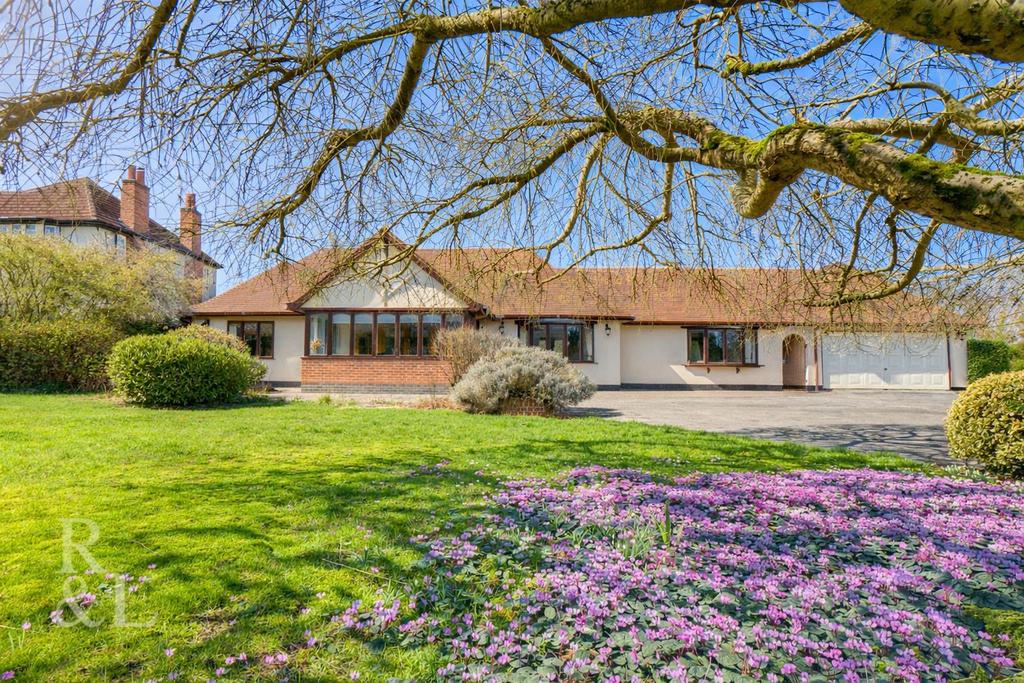 2da29577-f705-4868-aa1b-e73f4fef3d66 (1).png