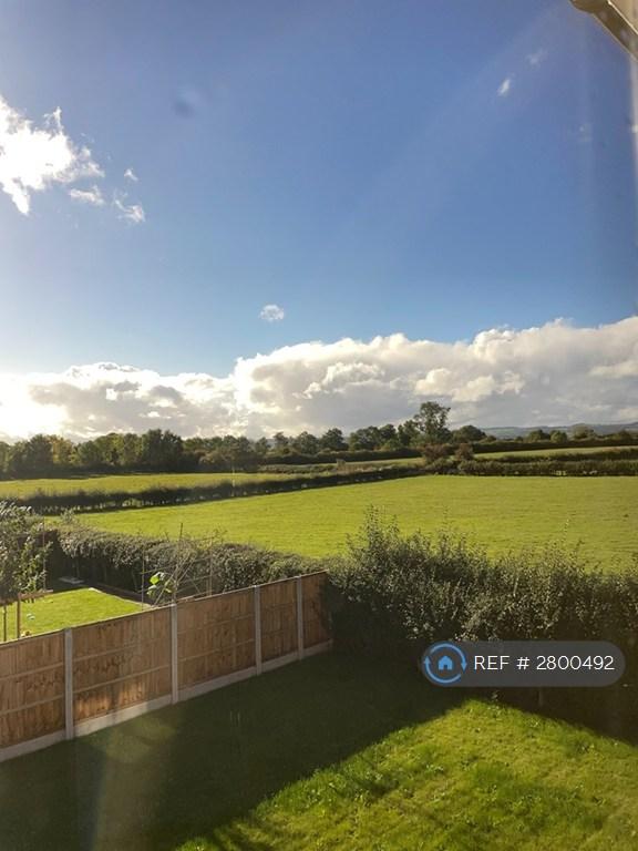 Views From Bedroom
