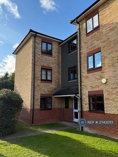 undefined, Tamarin Gardens, Cambridge, CB1