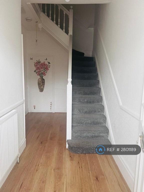 Lower Stairs