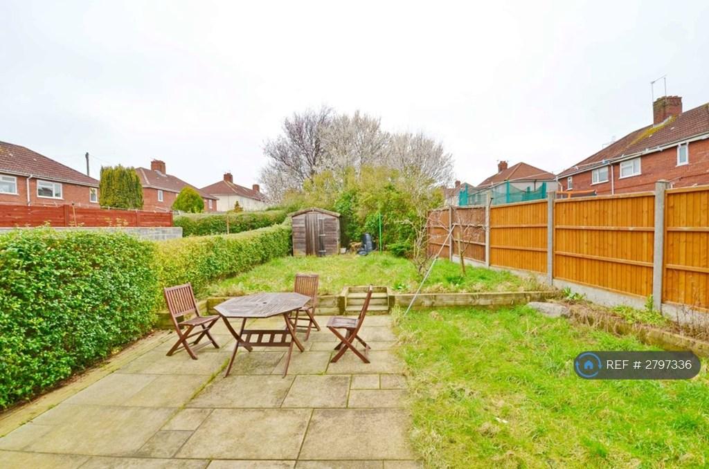 Back Garden (Alt View)