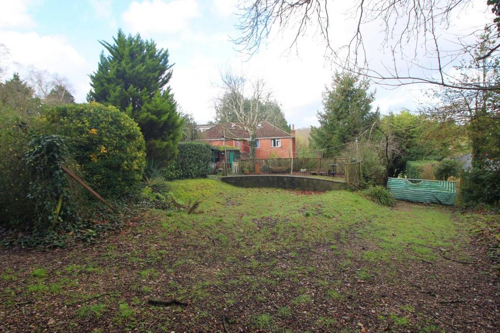 Garden 4.JPG