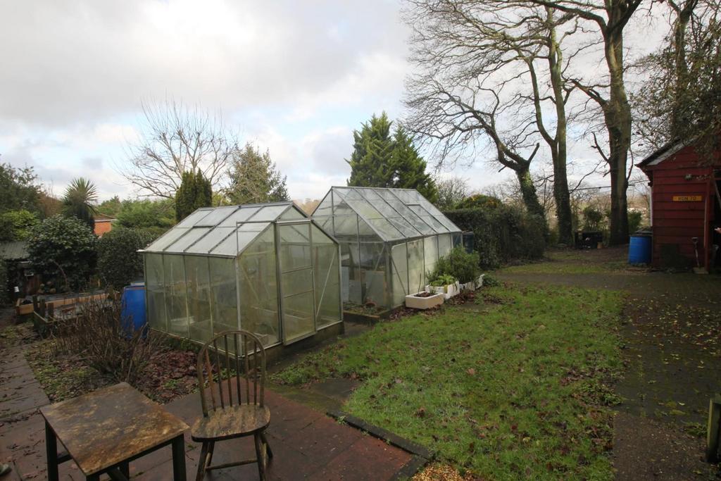 Garden 2.JPG