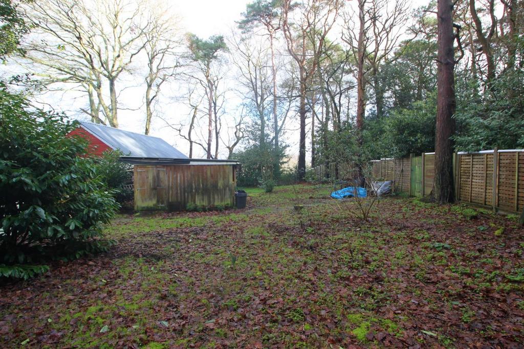 Garden 5.JPG