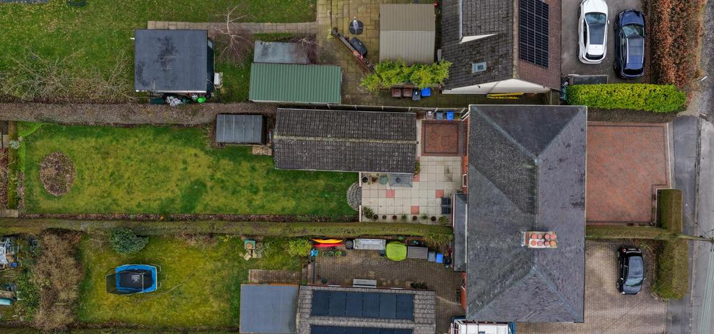 DJI 20260218124628 0130 D.jpg