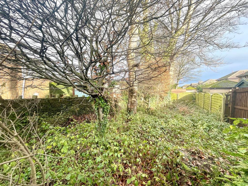 Copse