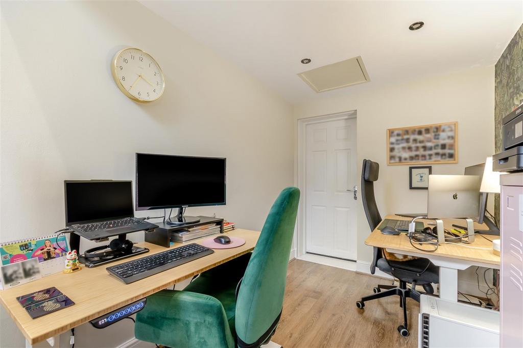 Study Area