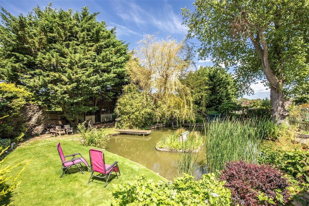 Tree-Lined Pond