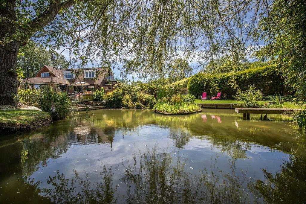 Pond