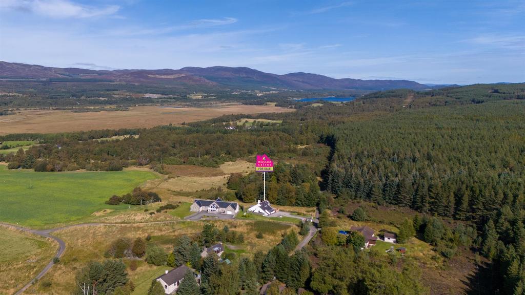 High Aerial View